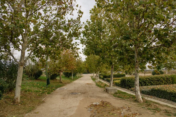 Gyönyörű Őszi Sikátor Fák Egy Parkban Zaragoza Spanyolország — Stock Fotó