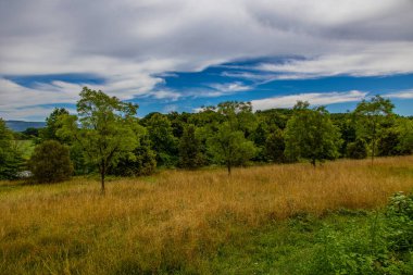 Yeşil ağaçlar, çayırlar, tarlalar ve beyaz bulutlu gökyüzü ile güzel bir yaz manzarası. 