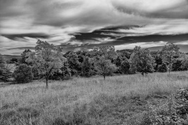 Yeşil ağaçlar, çayırlar, tarlalar ve beyaz bulutlu gökyüzü ile güzel bir yaz manzarası. 