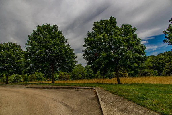 Krásná Letní Krajina Zelenými Stromy Loukami Poli Oblohou Bílými Mraky — Stock fotografie
