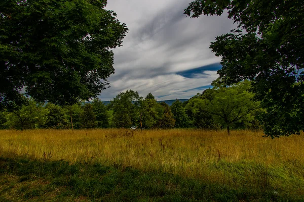 Красивый Летний Пейзаж Зелеными Деревьями Лугом Полями Небом Белыми Облаками — стоковое фото
