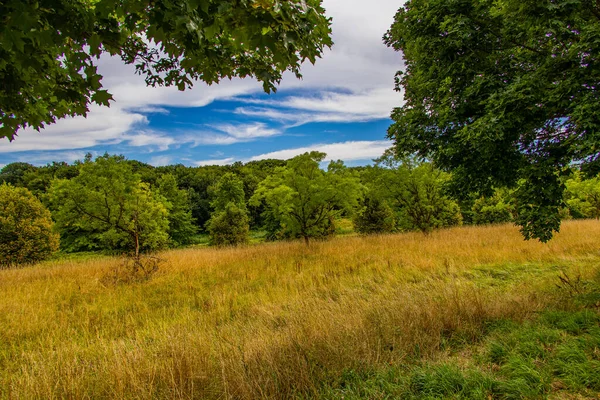Schöne Sommerlandschaft Mit Grünen Bäumen Wiese Feldern Und Himmel Mit — Stockfoto