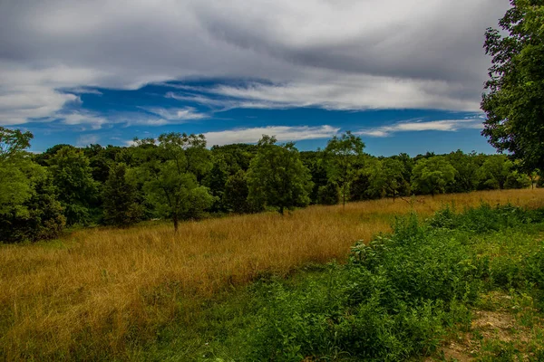 Schöne Sommerlandschaft Mit Grünen Bäumen Wiese Feldern Und Himmel Mit — Stockfoto