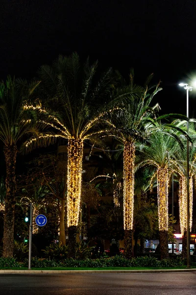 Hermosa Plaza Luceros Alicante Por Noche Con Palmeras Decorativas Para — Foto de Stock