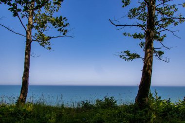 beautiful summer landscape with sea and escarpment trees in Jastrzebia Gora, Poland on a warm day