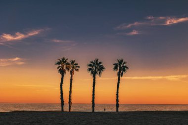 beautiful seaside landscape peace and quiet sunset and four palm trees on the beach