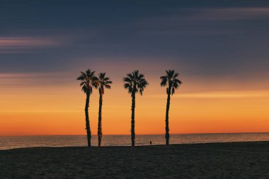 beautiful seaside landscape peace and quiet sunset and four palm trees on the beach