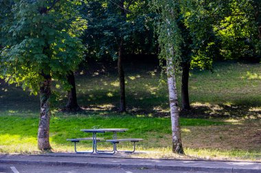 beautiful summer landscape picnic bench among the trees in the park on a sunny day