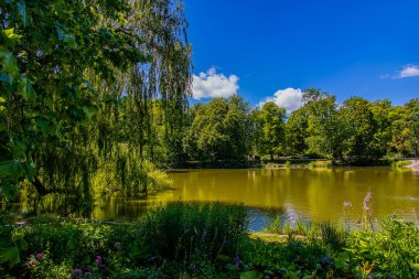 beautiful summer landscape with a pond Saski Garden Warsaw Poland green trees warm day