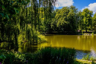 beautiful summer landscape with a pond Saski Garden Warsaw Poland green trees warm day