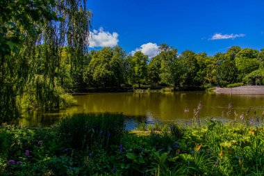 beautiful summer landscape with a pond Saski Garden Warsaw Poland green trees warm day