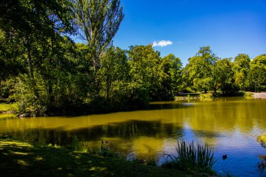 beautiful summer landscape with a pond Saski Garden Warsaw Poland green trees warm day
