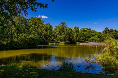beautiful summer landscape with a pond Saski Garden Warsaw Poland green trees warm day