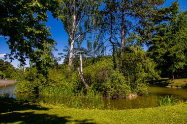 beautiful summer landscape with a pond Saski Garden Warsaw Poland green trees warm day