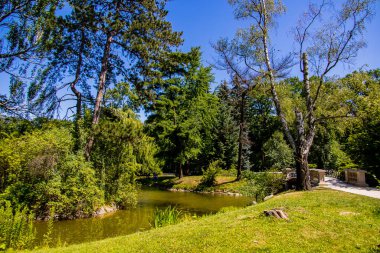 beautiful summer landscape with a pond Saski Garden Warsaw Poland green trees warm day