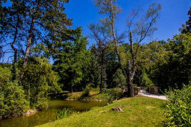 beautiful summer landscape with a pond Saski Garden Warsaw Poland green trees warm day