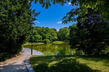 beautiful summer landscape with a pond Saski Garden Warsaw Poland green trees warm day