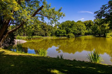 beautiful summer landscape with a pond Saski Garden Warsaw Poland green trees warm day