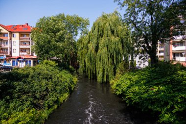 beautiful eba river flowing through  Poland on a summer day