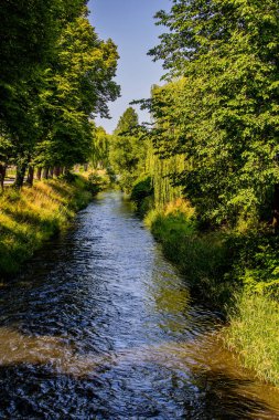 beautiful eba river flowing through  Poland on a summer day