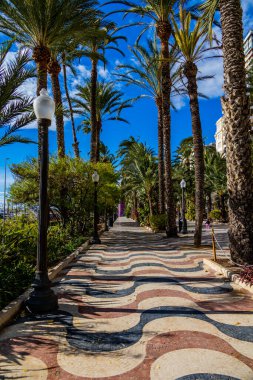 beautiful urban landscape of landmark explanada alicante spain on a sunny day with green palm trees and blue sky