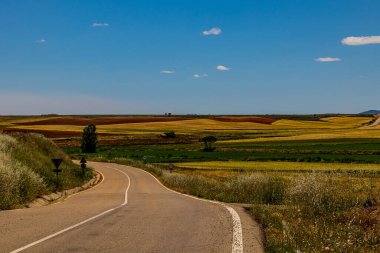 beautiful landscape asphalt road through fields and meadows in warm summer. day Aragon Spain