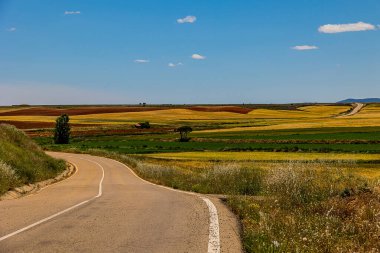 beautiful landscape asphalt road through fields and meadows in warm summer. day Aragon Spain