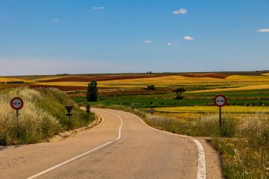beautiful landscape asphalt road through fields and meadows in warm summer. day Aragon Spain