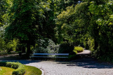 beautiful summer landscape on a sunny day park garden Warsaw Poland path, tree