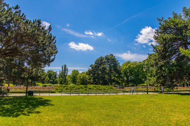 beautiful summer landscape on a sunny day park garden Warsaw Poland path, tree
