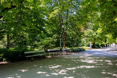 beautiful summer landscape on a sunny day park garden Warsaw Poland path, tree