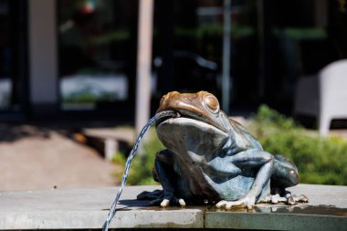 beautiful fountain on the market square in  Poland with frogs close-up on a summer day