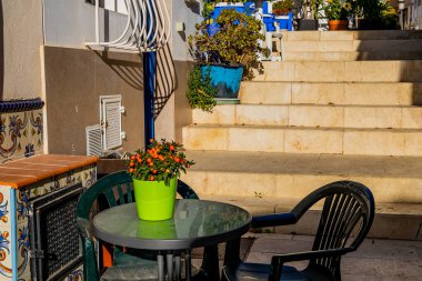 beautiful tomato plant in a pot on a table in a street in the historic part of the city of Alicante Spain on a sunny day