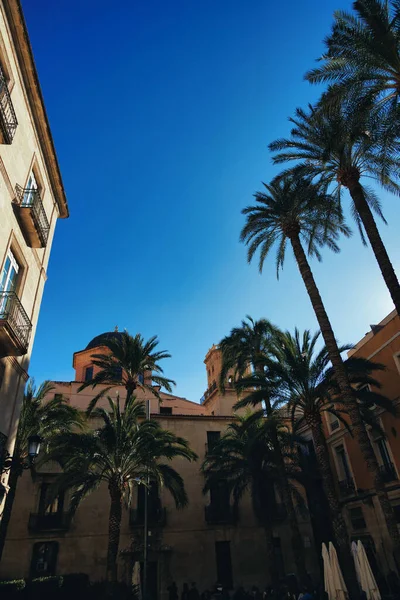 historic townhouses with palm trees in the city of Alicante spain against the sky