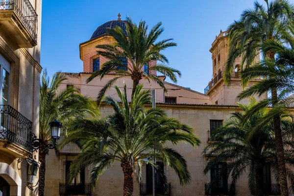 historic townhouses with palm trees in the city of Alicante spain against the sky