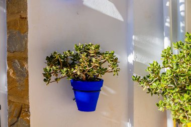 beautiful blue pots with flowers on a white building in the old town of Alicante Spain