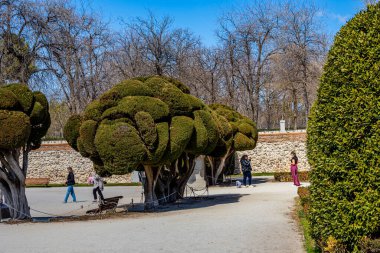 Madrid 'deki Emekli Parkı Bahar Günü Kentsel Arazi