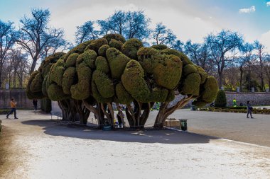 Madrid 'deki Emekli Parkı Bahar Günü Kentsel Arazi