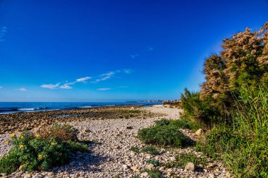 Sıcak, güneşli bir günde, bitki örtüsü ve patika ile kayalık deniz kıyısı.