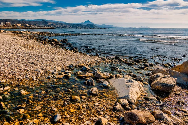 Felsige Meeresküste Einem Warmen Sonnigen Tag Mit Vegetation Und Einem — Stockfoto