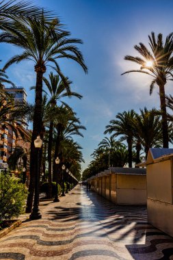Alicante İspanya 'daki güzel gezinti alanını açıkla..
