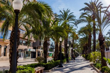 Alicante İspanya 'daki güzel gezinti alanını açıkla..