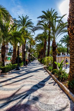 Alicante İspanya 'daki güzel gezinti alanını açıkla..