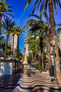 Alicante İspanya 'daki güzel gezinti alanını açıkla..