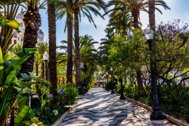 Alicante İspanya 'daki güzel gezinti alanını açıkla..