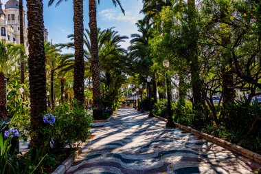 Alicante İspanya 'daki güzel gezinti alanını açıkla..