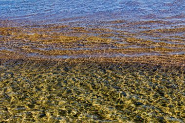 Güneşli bir günde kıyı boyunca dalgalanan berrak deniz suyunun güzel arka planı