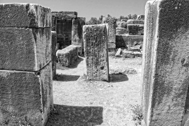 Türkiye 'nin Miletus kentindeki antik Roma tiyatrosunun güzel kalıntıları