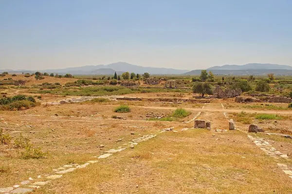 Türkiye 'nin Miletus kentindeki antik Roma tiyatrosunun güzel kalıntıları