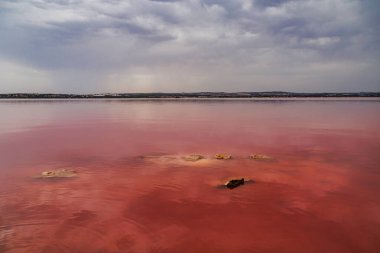 Sakin pembe renkli bir göl karamsar ve bulutlu bir gökyüzünü yansıtır. Durgun su hafif dalgalanmalarla rahatlatıcı bir atmosfer yaratır..